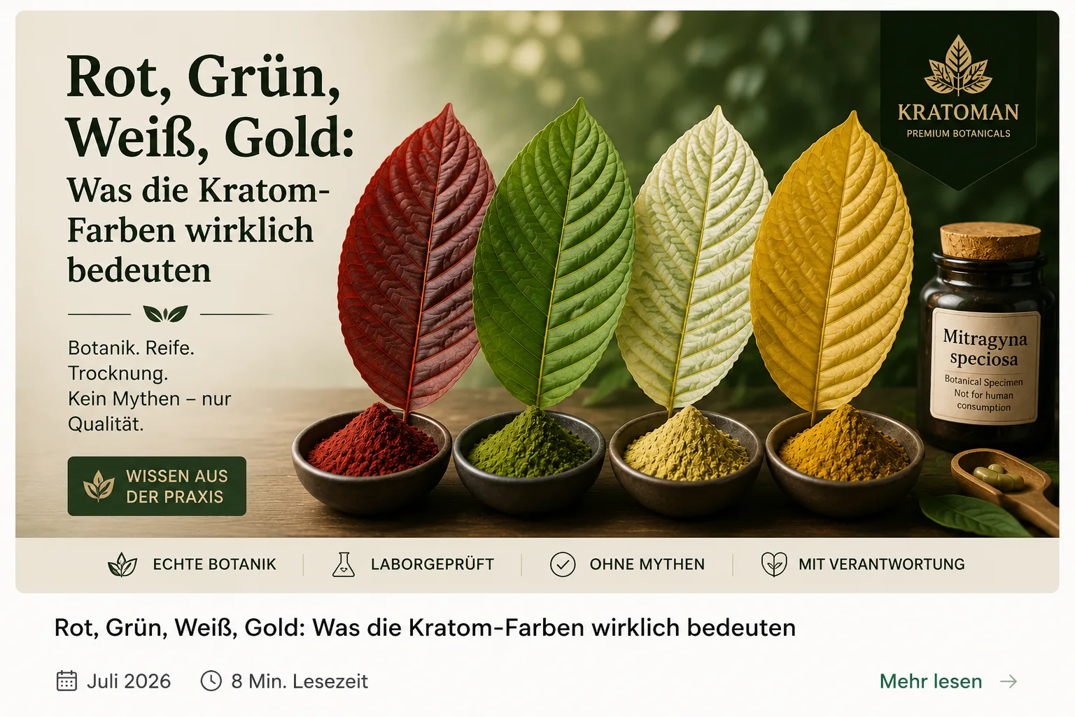 title="Red, Green, White or Gold? Understanding Kratom Strain Colors | Kratoman.eu Kratom strain colors explained – Red, Green, White and Gold premium botanical kratom